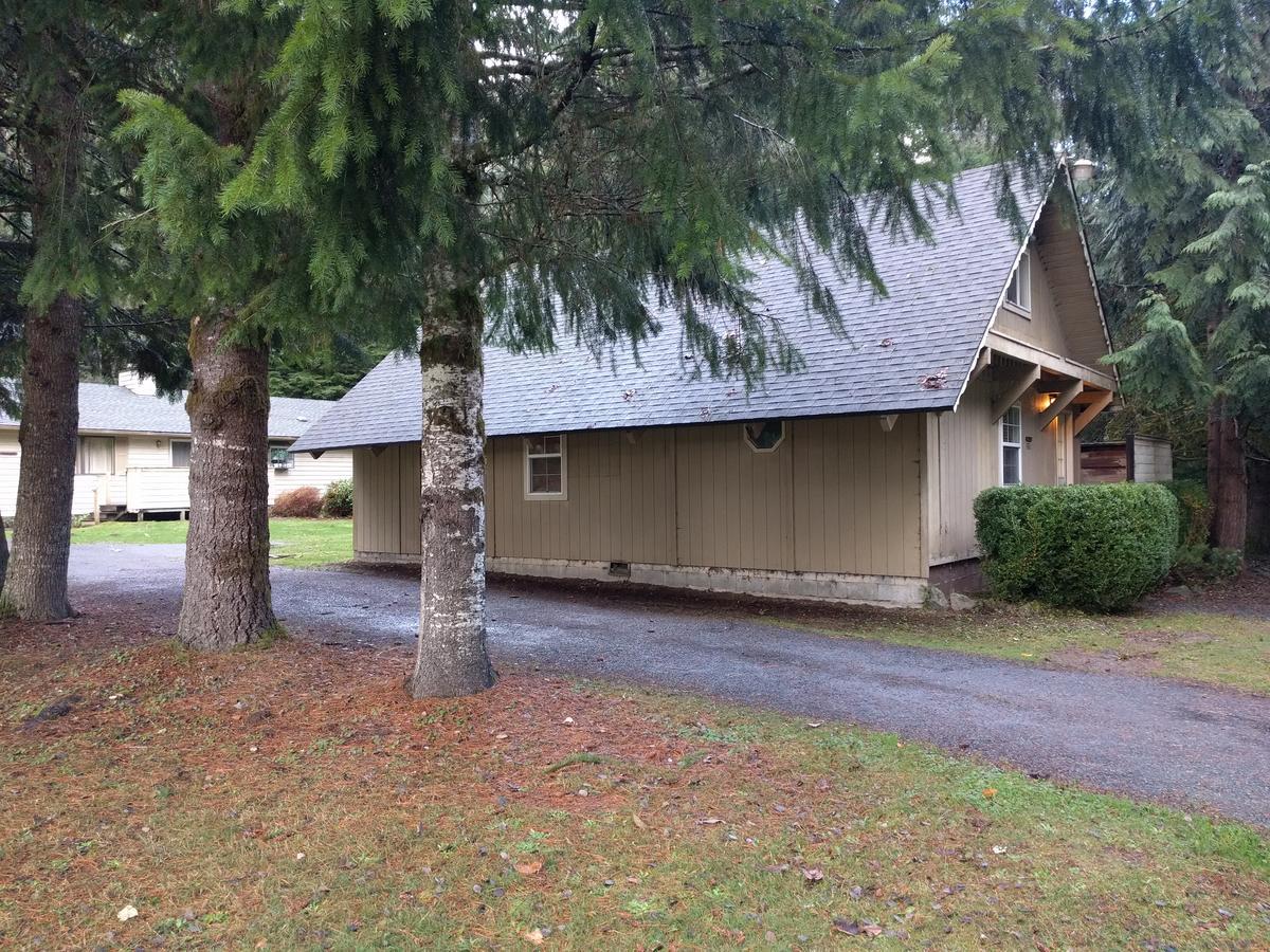 Chalet At Mt. Rainier Villa Ashford Eksteriør billede